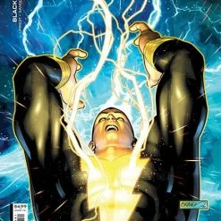 DC COMICS BLACK ADAM #2 CVR C BRANDON PETERSON CARD STOCK VAR