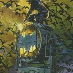 DC COMICS BATMAN CATWOMAN #9 (OF 12) CVR C TRAVIS CHAREST VAR (MR)