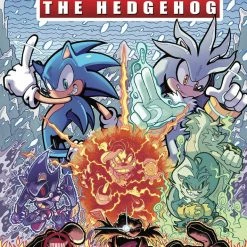 IDW PUBLISHING SONIC THE HEDGEHOG #14 CVR B GRAY