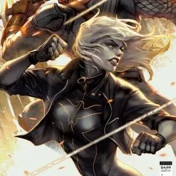 DC COMICS DEATHSTROKE INC #4 CVR B IVAN TAO CARD STOCK VAR