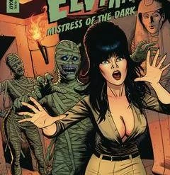 DYNAMITE ELVIRA MISTRESS OF DARK #11 CVR B CERMAK