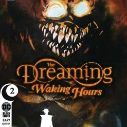 DC COMICS DREAMING WAKING HOURS #2 (MR)