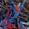 DC COMICS SUPERMAN #21 BRYAN HITCH VAR ED