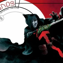 IMAGE COMICS ECHOLANDS #1 CVR B WILLIAMS III (MR)