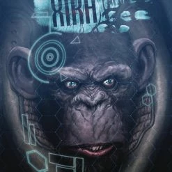 RED 5 COMICS - STONEBOT XIRA #1