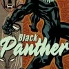 MARVEL COMICS BLACK PANTHER #20 ARTIST VAR