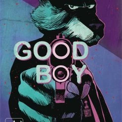 IMAGE COMICS GOOD BOY #1 (OF 3) CVR B FRANCAVILLA (MR)