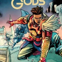 IMAGE COMICS ORDINARY GODS #9 (MR) (9/14/22)