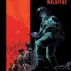 IDW PUBLISHING DARK SPACES WILDFIRE #1 CVR A COMICS