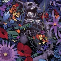 IMAGE COMICS SKYBOUND X #25 CVR C DE FELICI (MR)