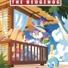 IDW PUBLISHING SONIC THE HEDGEHOG ANNUAL 2022 CVR A SONIC TEAM (8/10/22)