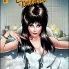 DYNAMITE COMICS ELVIRA IN HORRORLAND #4 CVR B ROYLE (8/31/22)