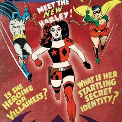 DC COMICS HARLEY QUINN #20 CVR C SOOK HOMAGE VAR (8/17/22)