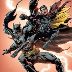 IMAGE COMICS BATMAN VS ROBIN #1 (OF 5) CVR D FABOK CARD STOCK VAR (9/14/22)