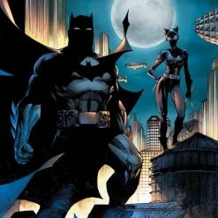 DC COMICS BATMAN CATWOMAN #11 (OF 12) CVR B LEE VAR (MR)