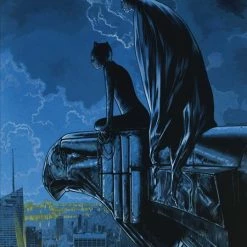 DC COMICS BATMAN CATWOMAN #11 (OF 12) CVR C CHAREST VAR (MR)