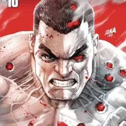 VALIANT ENTERTAINMENT LLC COMICS BLOODSHOT (2019) #10 CVR B NAKAYAMA