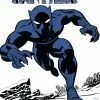 MARVEL COMICS BLACK PANTHER #24 MICHAEL CHO BLACK PANTHER TWO-TONE VAR