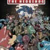 IDW PUBLISHING SONIC THE HEDGEHOG #20 CVR B LAWRENCE COMICS