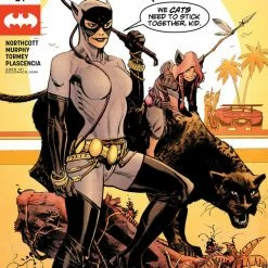 DC COMICS CATWOMAN #24 NEWLY PRICED BOOKS