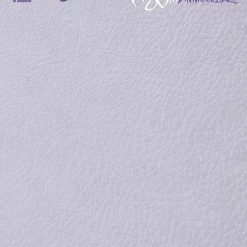 DC COMICS CATWOMAN 80TH ANNIV 100 PAGE SUPER SPECT #1 BLANK VAR ED