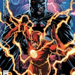 DC COMICS FLASHPOINT BEYOND #2 CVR C 1:25 COPY FABOK
