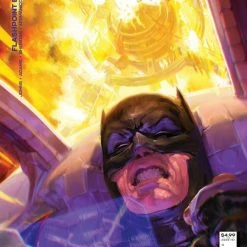 DC COMICS FLASHPOINT BEYOND #2 CVR B XERMANICO