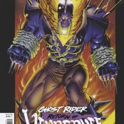 MARVEL COMICS GHOST RIDER RETURN OF VENGEANCE #1 GARNEY HIDDEN GEM VAR