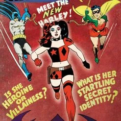 DC COMICS HARLEY QUINN #20 CVR C RYAN SOOK HOMAGE CARD STOCK VAR (8/17/22)
