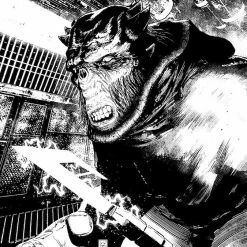 MARVEL PRH STAR WARS HIGH REPUBLIC TRAIL SHADOWS #4 (OF 5) WIJNGAARD VA COMICS