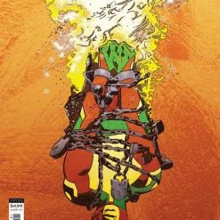 Collector Cave MISTER MIRACLE THE SOURCE OF FREEDOM #1 (OF 6) CVR B VALENTINE DE LANDRO CARD STOCK VAR
