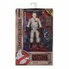 HASBRO GHOSTBUSTERS AFTERLIFE PLASMA SERIES 1 - RAY STANTZ ACTION FIGURE JUST ARRIVED!