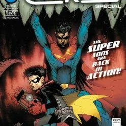 DC COMICS SUPERMAN & ROBIN SPECIAL #1 (ONE SHOT) CVR A VIKTOR BOGDANOVIC