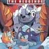 IDW PUBLISHING SONIC THE HEDGEHOG #35 CVR B ROTHLISBERGER