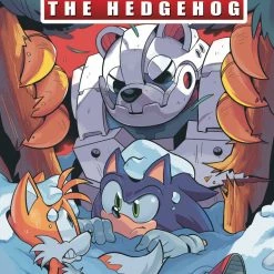 IDW PUBLISHING SONIC THE HEDGEHOG #35 CVR B ROTHLISBERGER