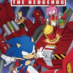 Collector Cave COMICS SONIC THE HEDGEHOG #40 CVR B DAN SCHOENING