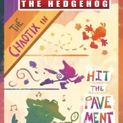 IDW PUBLISHING SONIC THE HEDGEHOG #48 CVR C 10 COPY FOURDRAINE COMICS