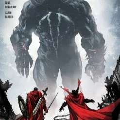 IMAGE COMICS SPAWN #317 CVR B MCFARLANE