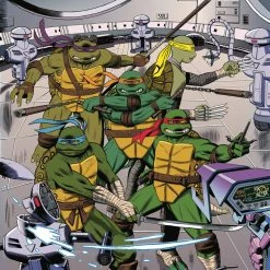 DARK HORSE COMICS TMNT ONGOING #120 CVR C 10 COPY INCV BRYANT