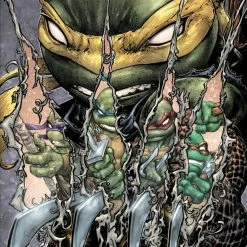 IDW PUBLISHING COMICS TMNT ONGOING #129 CVR C 10 COPY INCV WILLIAMS