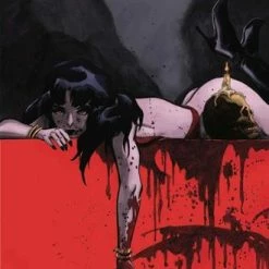 DYNAMITE COMICS VAMPIRELLA #1 TIM SALE VARIANT