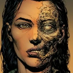 IMAGE COMICS WALKING DEAD DLX #3 CVR A FINCH & MCCAIG 2ND PTG (MR)