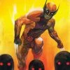 MARVEL COMICS WOLVERINE #18 MALEEV VAR