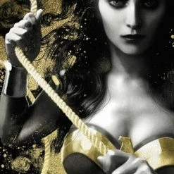 IMAGE COMICS WONDER WOMAN BLACK & GOLD #3 (OF 6) CVR B JOSHUA MIDDLETON VAR